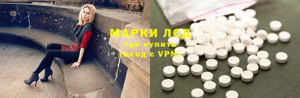 гашик Алексин