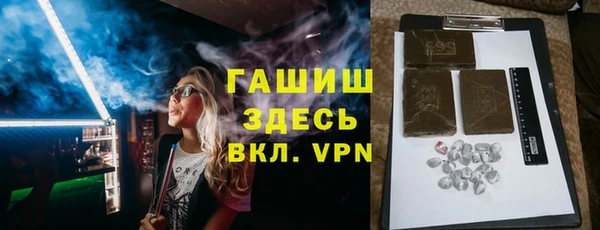 гашик Алексин