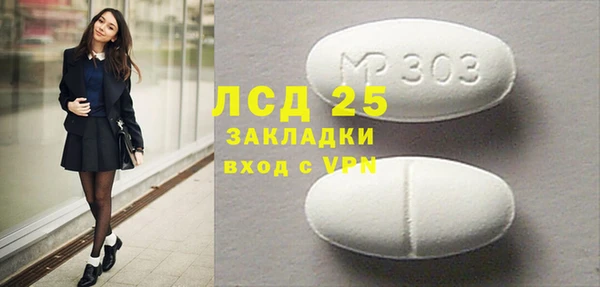 гашик Алексин