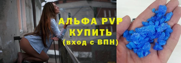 гашик Алексин
