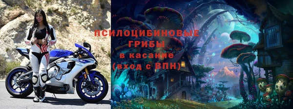 гашик Алексин