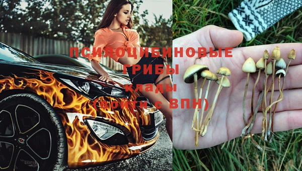 а пвп мука Алексеевка