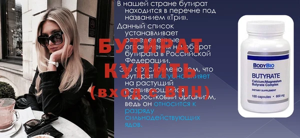 гашик Алексин