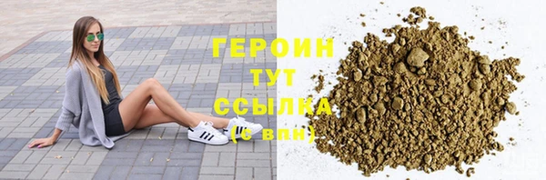 гашик Алексин