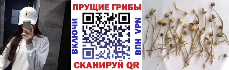 Галлюциногенные грибы прущие грибы  Чусовой 